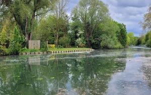 Le marais est paisible